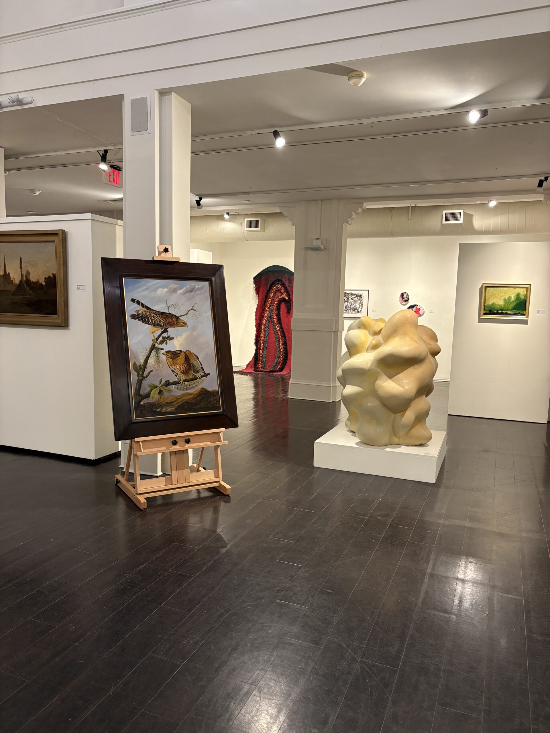 best of south coast1