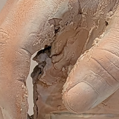 student's works body3.2