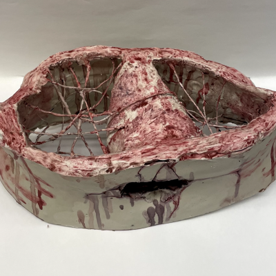 student's works body5.2