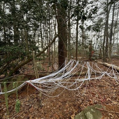 student's works line12