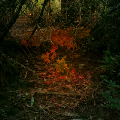 student's works line13