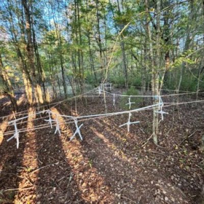 student's works line15