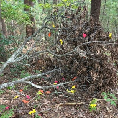 student's works line2