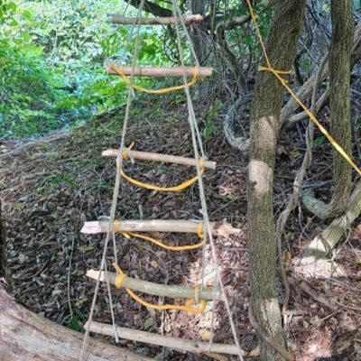 student's works line4.1