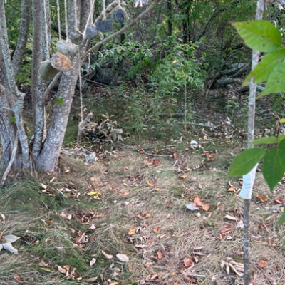 student's works line7.1