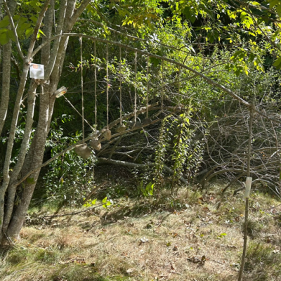 student's works line7.2