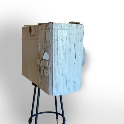 student's works plane 2.1