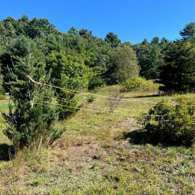 student's works line6